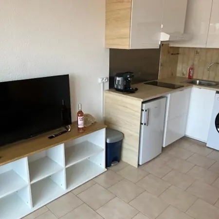 Climatise Pour 4 Avec Parking, A 10 Min De La Plage, Wifi Et Animaux Acceptes - Fr-1-749-5 アパート アグド