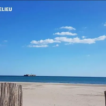Climatise Pour 4 Avec Parking, A 10 Min De La Plage, Wifi Et Animaux Acceptes - Fr-1-749-5